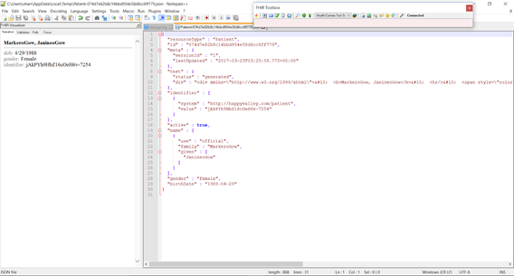 FHIR Plugin for Notepad++ Screenshot
